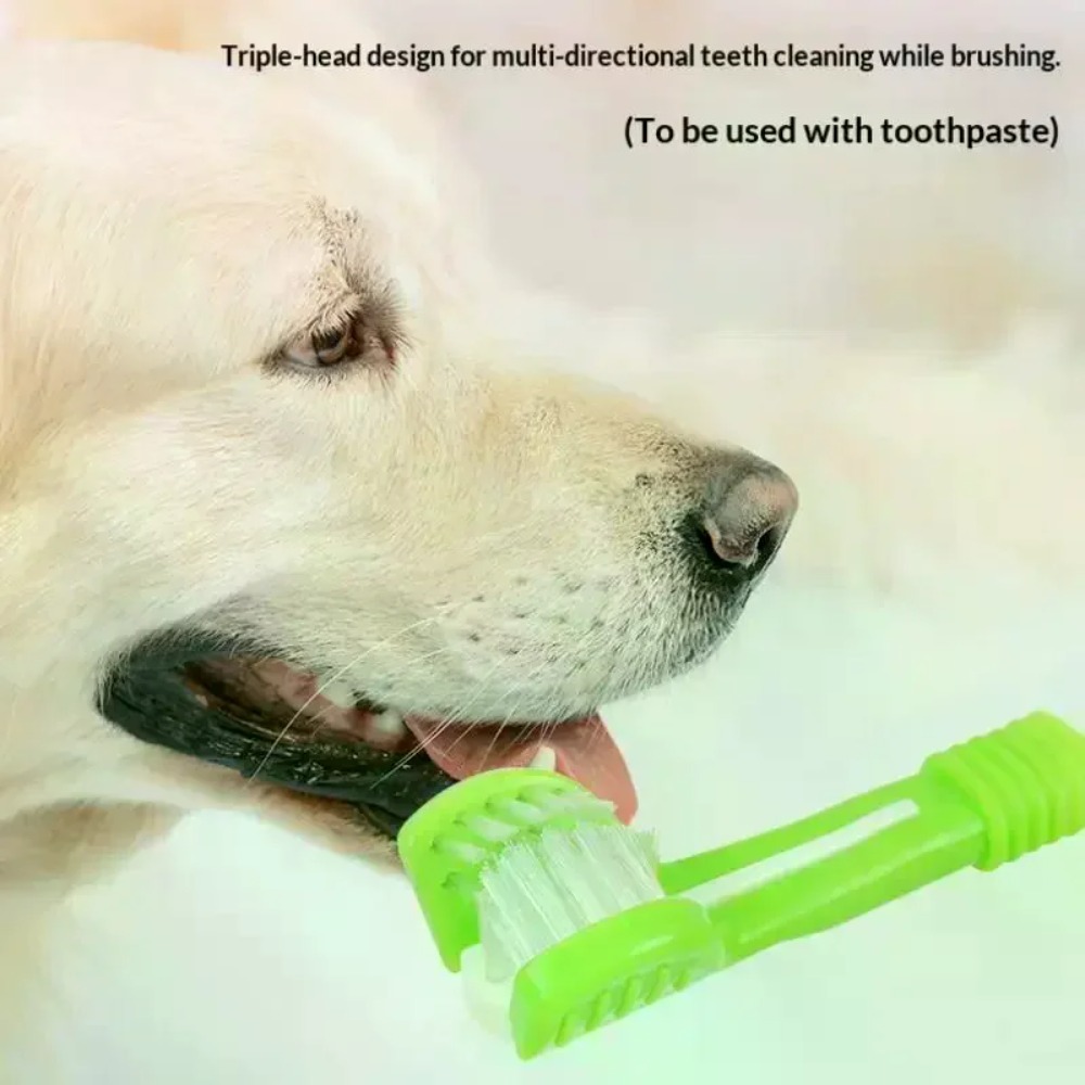 3-stronna szczoteczka do zębów – Teeth Whitening Mouthwash recenzja i cena