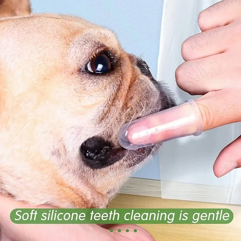 Super Miękka Szczoteczka do Zę – Teeth Whitening Mouthwash recenzja i cena
